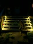 Luces Solares para Terraza - Iluminación Exterior de Bajo Consumo Energético