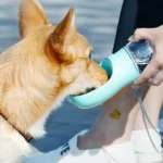 Portable Water Bottle for Dogs – Ensure your pet stays hydrated during outings