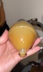 Honey Dispenser with Beehive Design | Drip-Free & Durable
