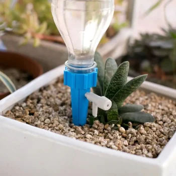 Self watering spikes for indoor plants and office decor, keeping your favorite greenery lush and low-maintenance